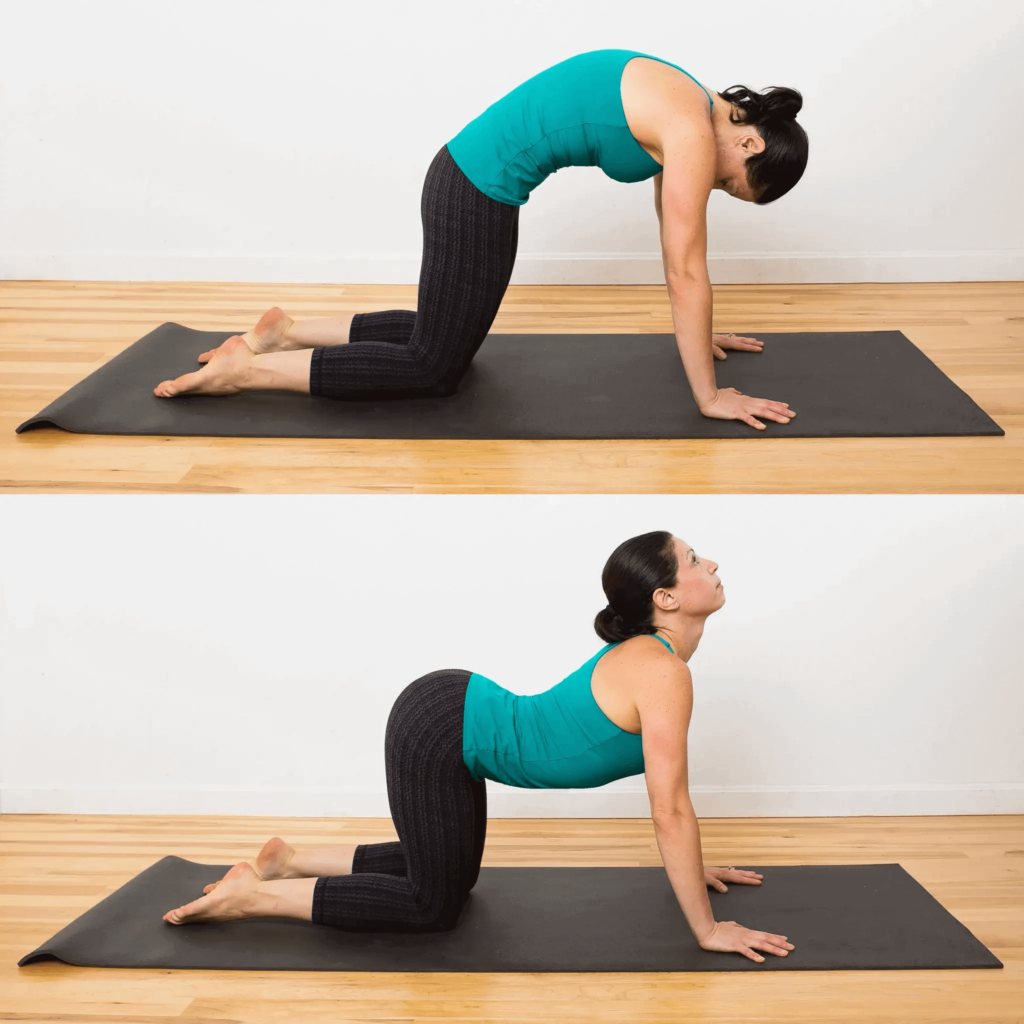 Bitilasana Marjaryasana yoga pose for Cervical Spondylosis (Cervical Osteoarthritis)