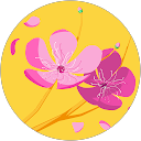 Miha profile picture