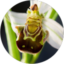 Marie P. profile picture